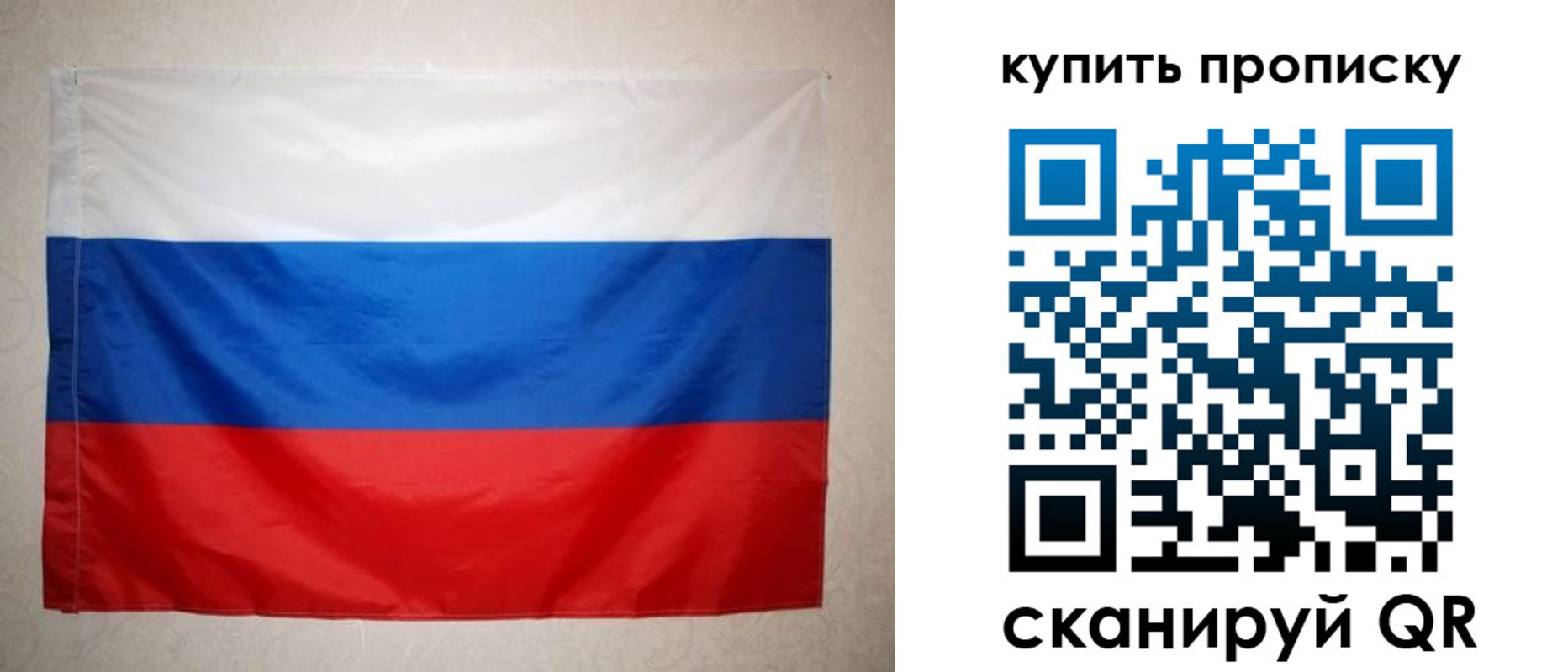 пропишу в квартире в Светлогорске